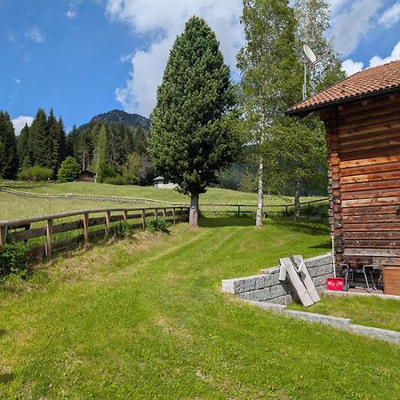 Nido Del Brenta Apartment Madonna di Campiglio Bagian luar foto