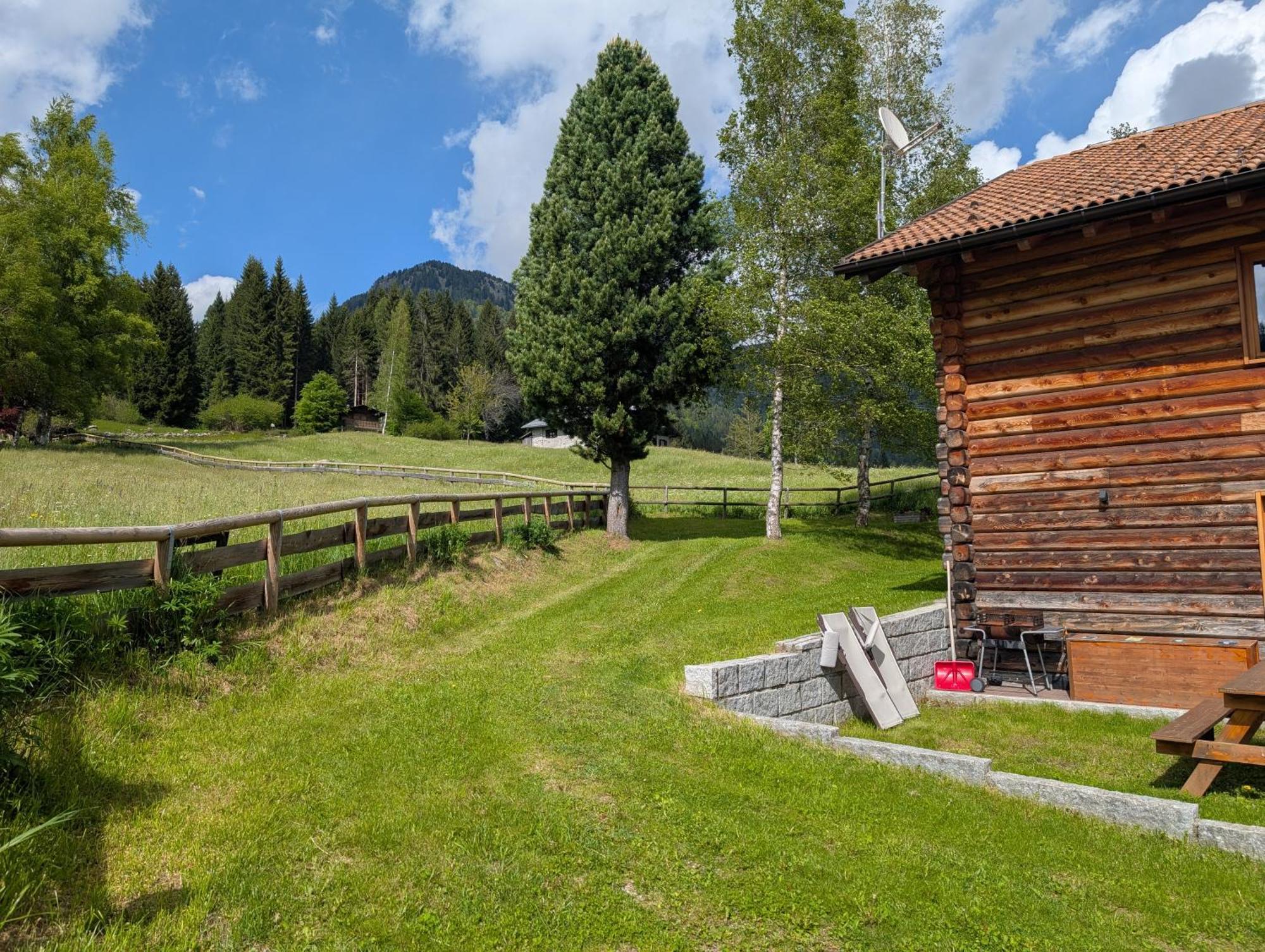 Nido Del Brenta Apartment Madonna di Campiglio Bagian luar foto